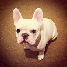 1466493422692166.jpg u=4157391365,2837998983&fm=21&gp=0.jpg