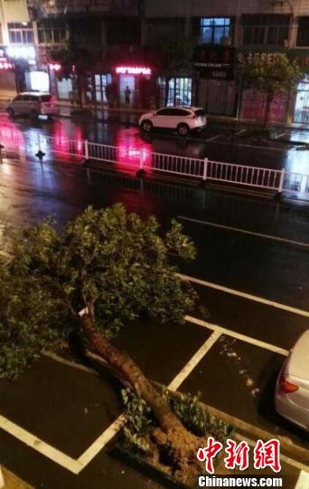 1469602218681838.jpeg 20160727142944_cf25d693387f53063baa3383fa7309eb_4.jpeg