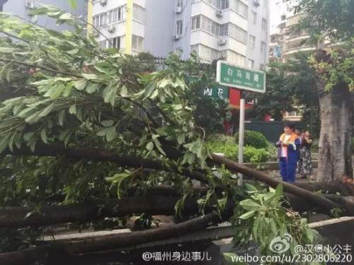 1469775593113784.jpg kdSg-fxunyyf6167528.jpg