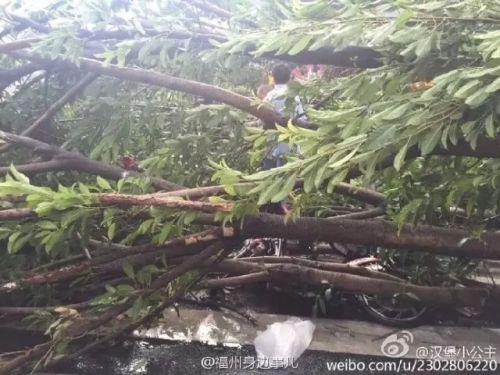 1469775614177118.jpg Nfv3-fxupmws1271417.jpg