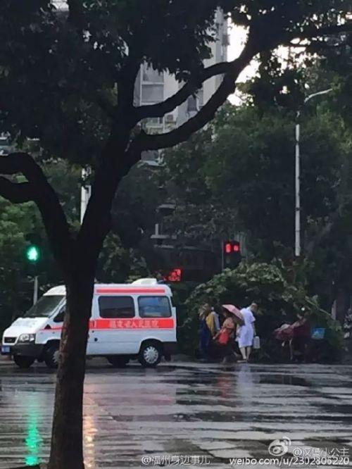 1469775666127903.jpg OWEJ-fxupmws1271413.jpg