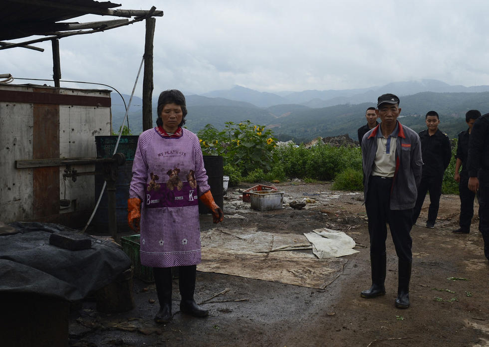 1469933799132950.jpg 17003834_980x1200_0.jpg