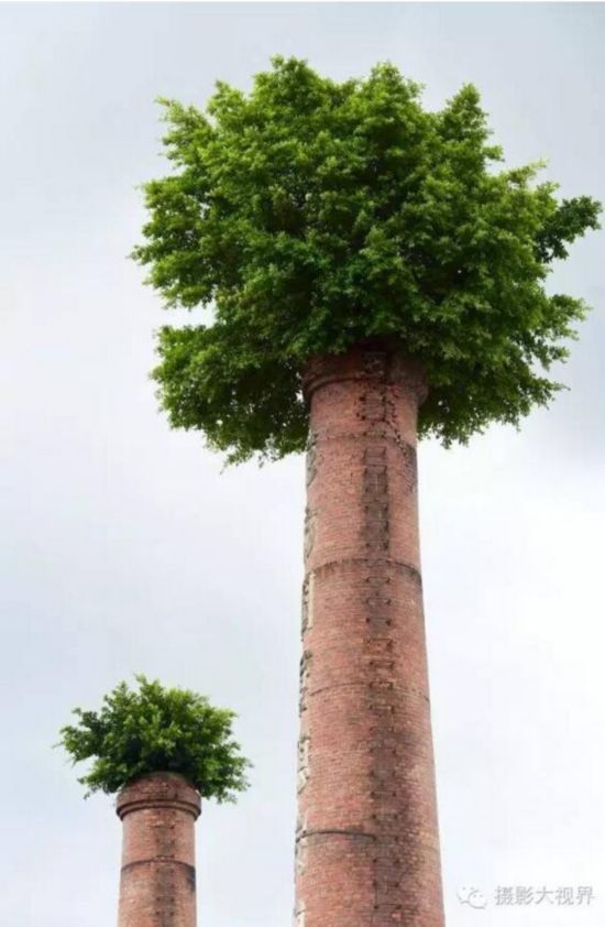 1470616844249412.jpg 5951586128867873459.jpg