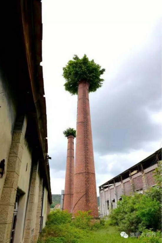 1470616851428596.jpg 16039163526752726226.jpg