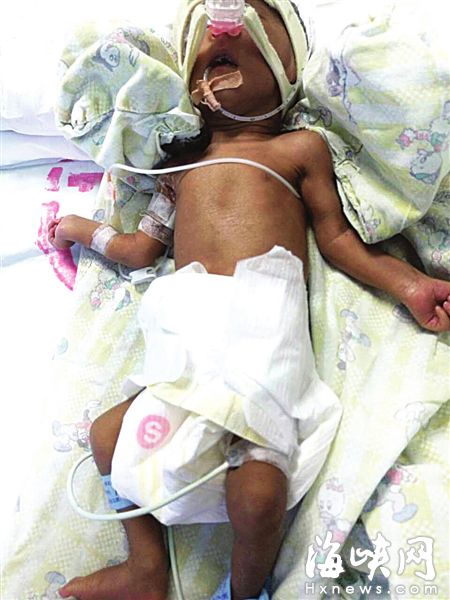 1471923451205261.jpg 1471914581891.jpg