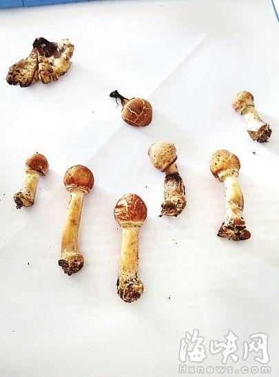 1472006801692510.jpg XXXm-fxvecqa7561070.jpg