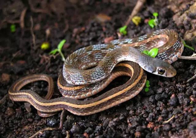 1472438585436471.jpg 640 (4).jpg