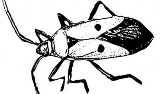 1472438653184563.jpg 640 (14).jpg