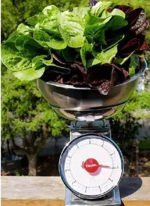 1472624566269766.jpg 640 (17).jpg