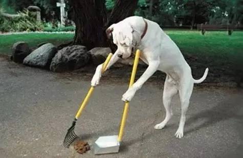 1474250005882581.jpg 640.jpg