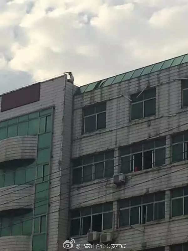 1474702545404929.jpg 640.webp.jpg