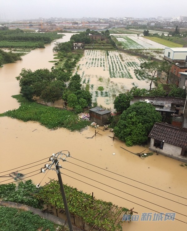 1475047531647025.jpg 0 (7).jpg