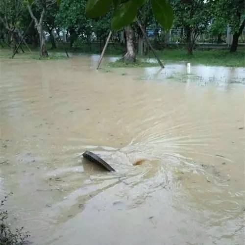 1475047553255436.jpg 0 (11).jpg