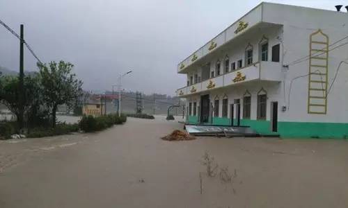 1475047588134646.jpg 0 (14).jpg