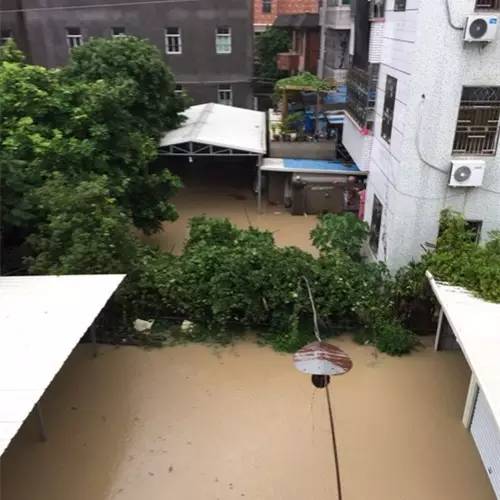 1475047614311550.jpg 0 (16).jpg