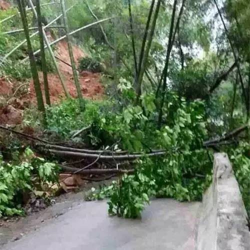 1475047675881979.jpg 0 (24).jpg