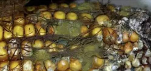 1475572422924322.jpg 640 (6).jpg