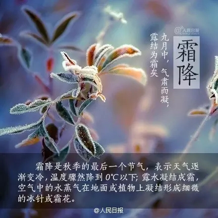 1477185760496027.jpg 640.webp.jpg