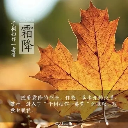 1477185767753099.jpg 640.webp (1).jpg