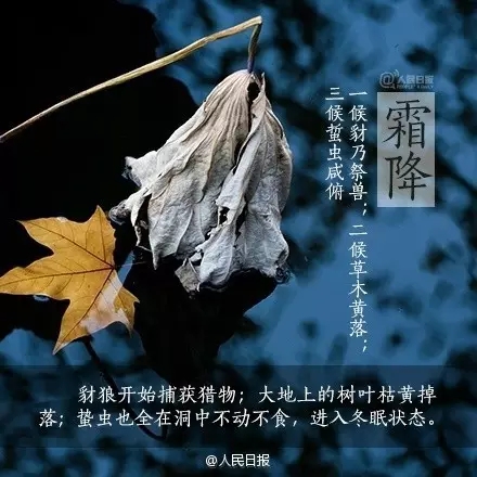 1477185771205304.jpg 640.webp (2).jpg