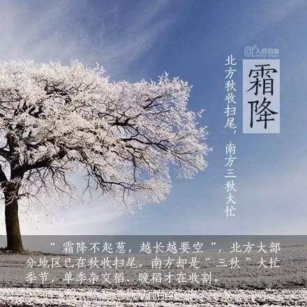 1477185778808007.jpg 640.webp (3).jpg