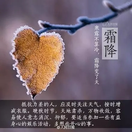 1477185791562984.jpg 640.webp (6).jpg