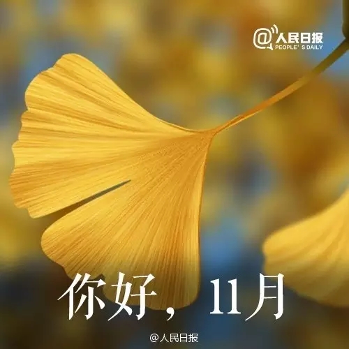 1478078504553905.jpg 640.webp.jpg