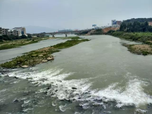 1493084477149879.jpg 10.jpg