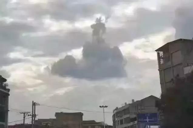 1494726222134074.jpg 1.jpg
