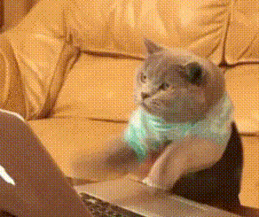 1496278510158744.gif 微信圖片_20170601085210.gif
